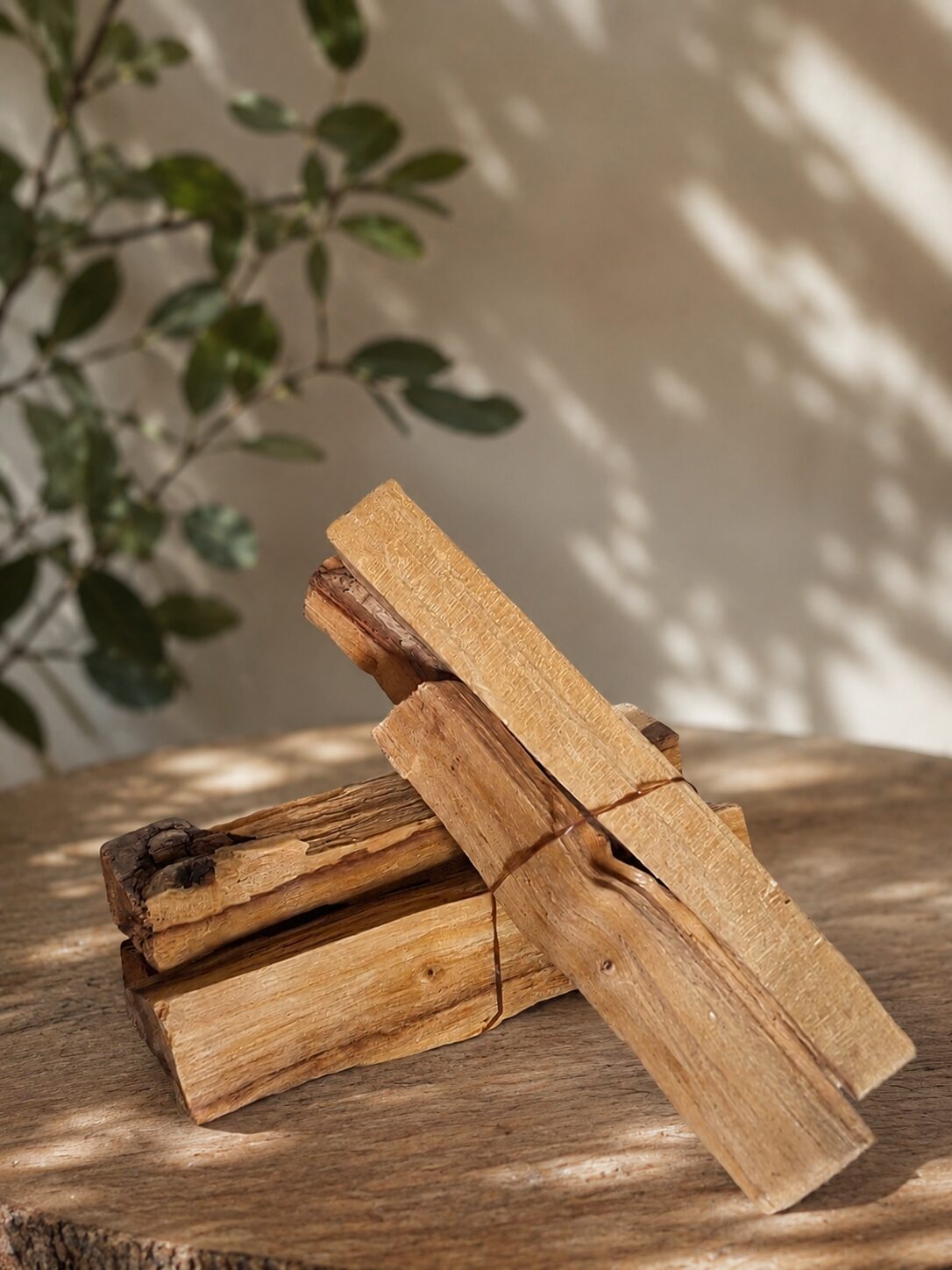Palo Santo – Bild 1